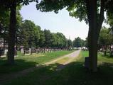 Cimetière de Saint-Albert-Abbé. Vue d'ensemble