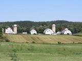 Ferme des Six Rapides. Vue d'ensemble