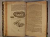 Livre (L'histoire du Nouveau Monde ou Description des Indes occidentales, contenant dix-huict livres). Illustration