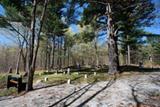 Cimetière des Pionniers de Chelsea