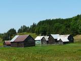 Ensemble de ferme. Vue d'ensemble