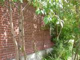 16, rue Quaile