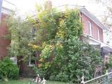113, rue Centre