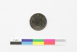 Monnaie. Revers