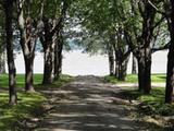 Site de villégiature de l'anse aux Trèfles. Chemin d'accès au fleuve. Vue d'ensemble