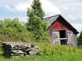 Grange d'une maison abandonnée sur la côte de la Crapaudière, Vue d'ensemble