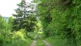 Ancien chemin Craig. Vue générale