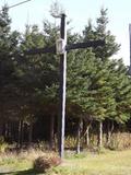 Croix sur le chemin de la rivière Verte
