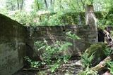 Vestiges de moulin à scie