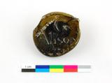 Fragment de bouteille à boisson alcoolisée. Vue générale
