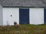 674, 2e Rang Ouest. Vue de détail porte