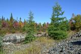 Mine Stewart. Vue générale, Puits d'exploitation et halde à résidus miniers