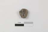Fragment de fourneau de pipe à tuyau amovible. Face interne