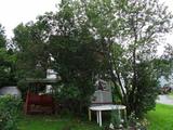2488, rang McCutcheon