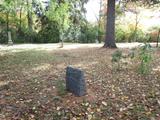 Cimetière familial Barber. Autre vue générale