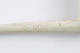 Pipe. Détail marque, côté droit du tuyau