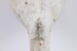 Pipe. Détail de l'éperon