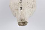 Fourneau de pipe. Détail de l'éperon
