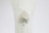 Pipe. Détail du talon