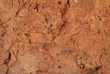 Fragment de brique. Détail de la pâte
