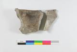 Fragments de cruche. Face interne