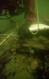 Épave H de l'île Rouge. Cheville d'alliage cuivreux traversant la quille et une varangue de l'épave 44M3H.