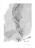 Épaves de la flotte à Walker. Plan du site 8G5A DkDs-3-3, 1974.