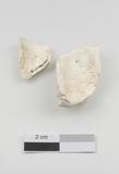 Fragments de fourneau de pipe. Profile gauche