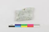 Fragment de plat. Face externe