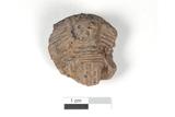 Fragment de vase à parement et à crestellation. Face externe
