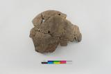 Fragments de vase. Face externe, sens A
