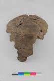Fragments de vase. Face externe, sens B