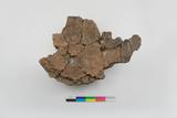 Fragments de vase. Face interne, sens A