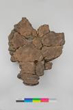Fragments de vase. Face interne, sens B
