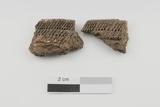 Fragments de vase. Paroi externe