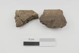 Fragments de vase. Paroi interne