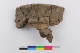 Fragments de vase. Face externe