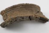 Fragments de vase. Détail de la pâte