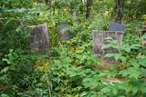 Cimetière Lambkin