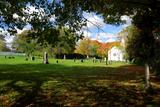 Cimetière Saint John Anglican