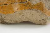 Fragments de réchaud. Détail de la pâte