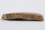Fragments de marmite. Détail de la pâte