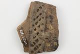 Fragments de marmite. Détail du décor