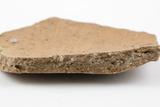 Fragments de marmite. Détail de la pâte