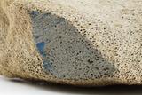 Métacarpe ou phalange de baleine. Détail du prélèvement pour analyses