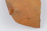 Fragments de cruche ou de jarre. Détail du pentagramme incomplet