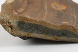 Fragments de marmite ou de pot. Détail de la pâte de la base