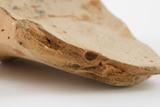 Fragments de cruche. Détail de la pâte