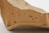Fragments de cruche. Détail du prélèvement pour analyses