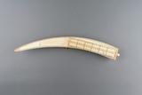 Jeu de cribbage. Vue aérienne